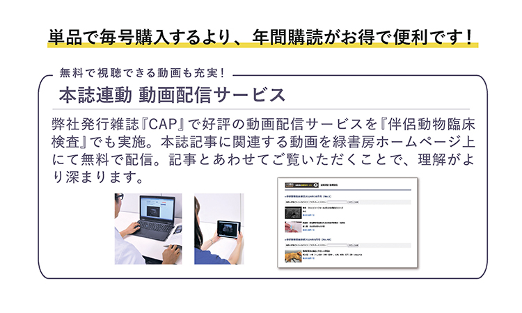 伴侶動物臨床検査動画配信