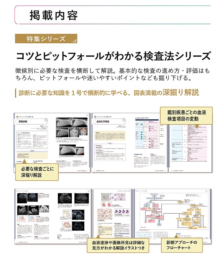 伴侶動物臨床検査特集内容